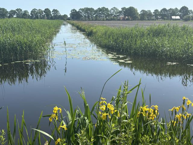 Natuur heeft veel plezier van neerslag gehad, maar droogte neemt nog steeds toe
