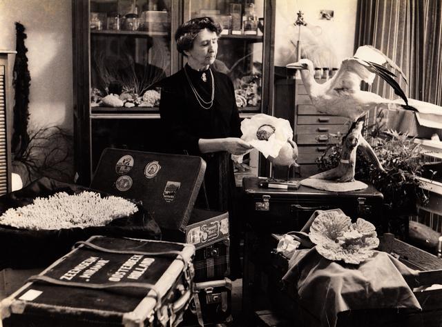 Miramar Zeemuseum in Vledder viert 70-jarig bestaan met tentoonstelling ‘Warners Wondere Wereld’ ove