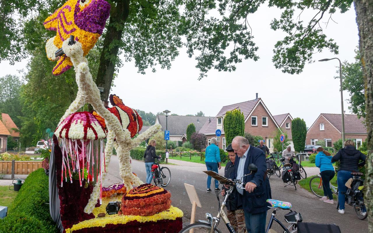 Op de fiets langs de bloemenpracht. Op de fiets langs de bloemenpracht.