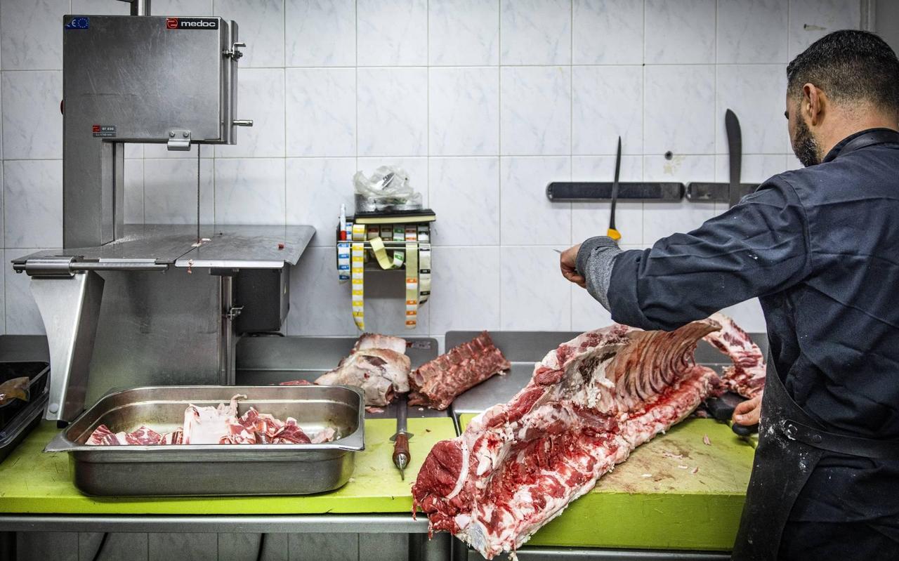 Geurtz pleitte voor een evenwichtig aanbod aan vegetarische en plantaardige maaltijden en snacks. Ze wil dat bij het aanbod van vlees gelet wordt op dierenwelzijn (minimaal drie sterren). Geurtz pleitte voor een evenwichtig aanbod aan vegetarische en plantaardige maaltijden en snacks. Ze wil dat bij het aanbod van vlees gelet wordt op dierenwelzijn (minimaal drie sterren).