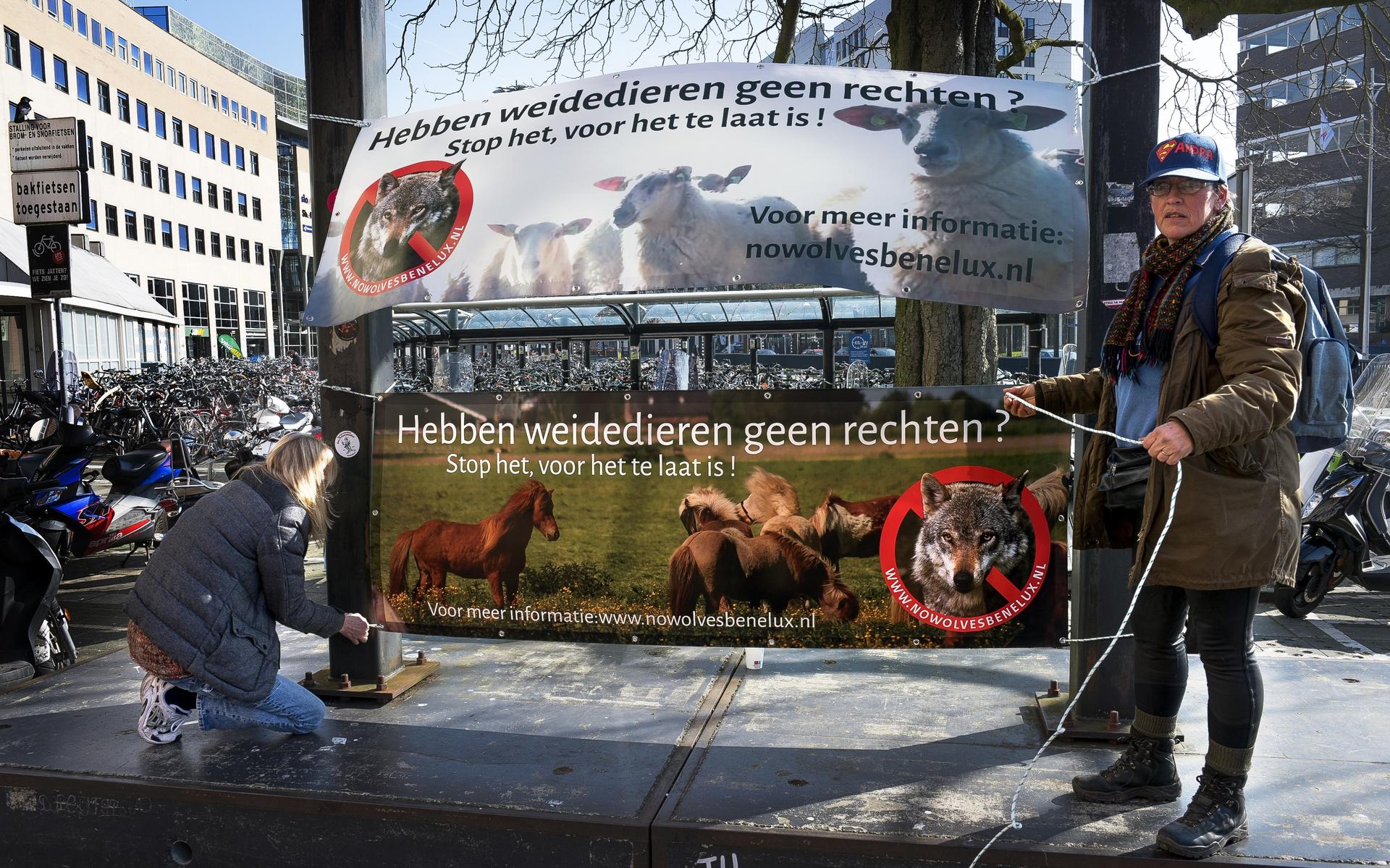 Publiek heeft nauwelijks boodschap aan eerste anti-wolvendemonstratie. Vader tegen zoontje bij indru