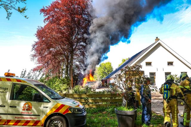 LIVE | Twee gewonden bij steekincident in Hoogeveen en pick-uptruck brandt uit op oprit in Odoornerv