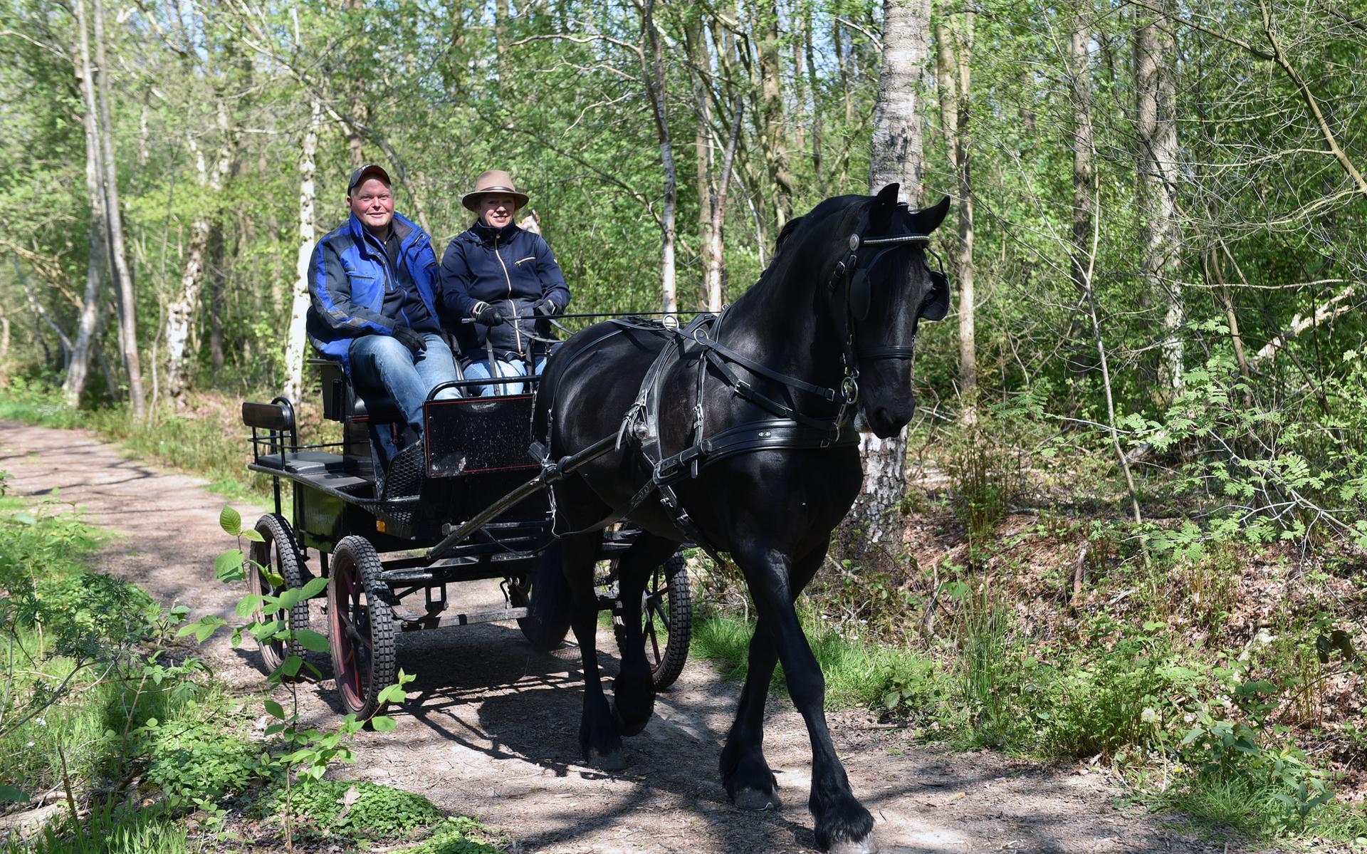 Droom van Hilda de Haan komt uit. Koetsier uit De Blesse heeft haar eigen Friese paard