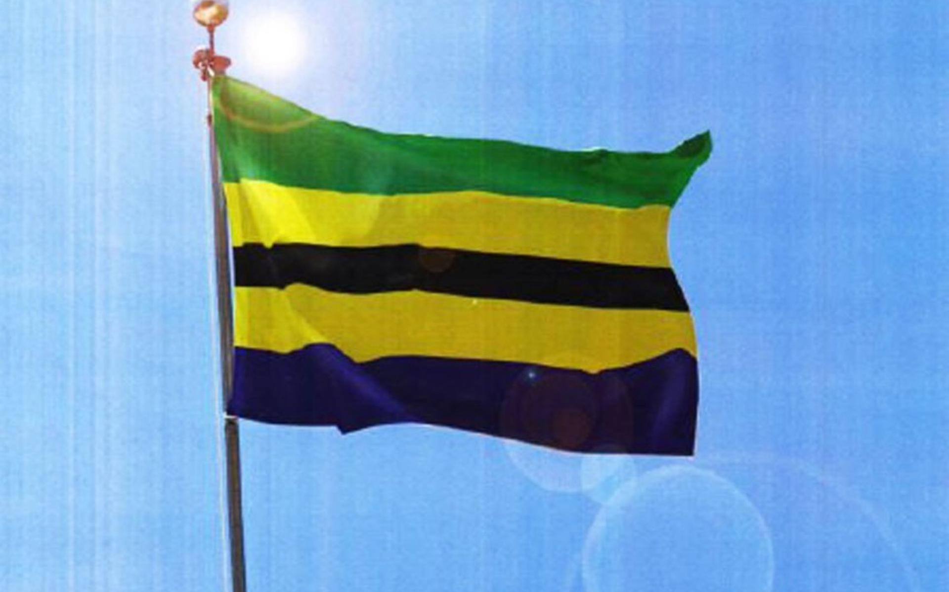 Storing Terughoudendheid Verlating Groen, geel, zwart, geel en blauw: Westerveld krijgt een eigen vlag -  Steenwijker Courant