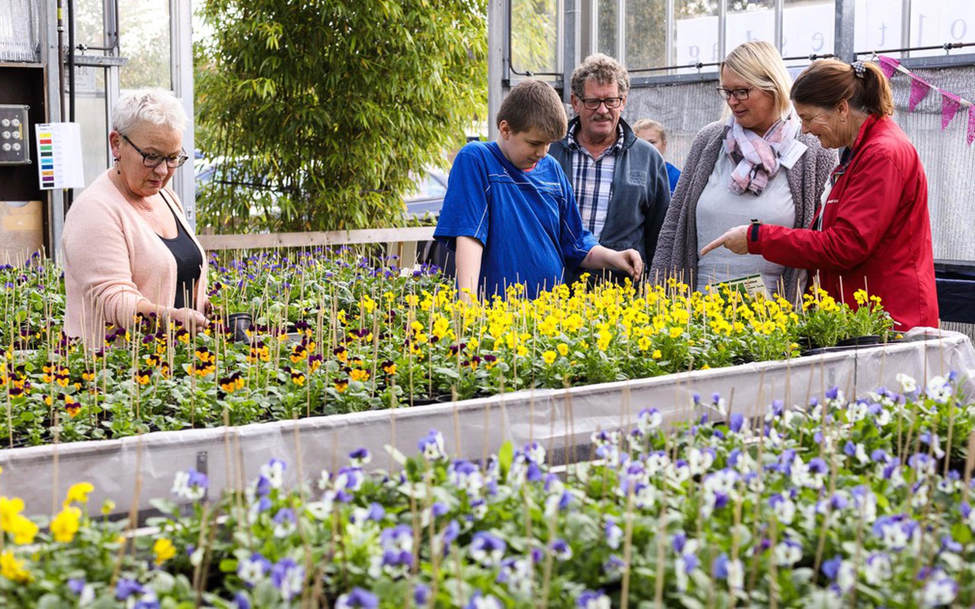 Voor het terras, balkon en de serre hebben de leerlingen op SG Eekeringe een grote diversiteit aan zomerbloeiers en potplanten gekweekt.