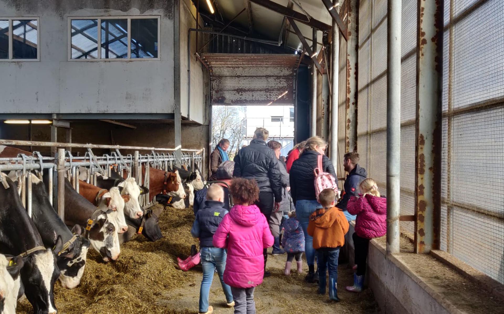 De kinderen van OBS de Samensprong in de stal van boerderij Weerribbenzuivel in Nederland.