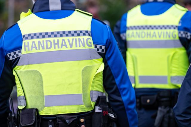 Capaciteit boa’s Steenwijk staat 'zwaar onder druk'