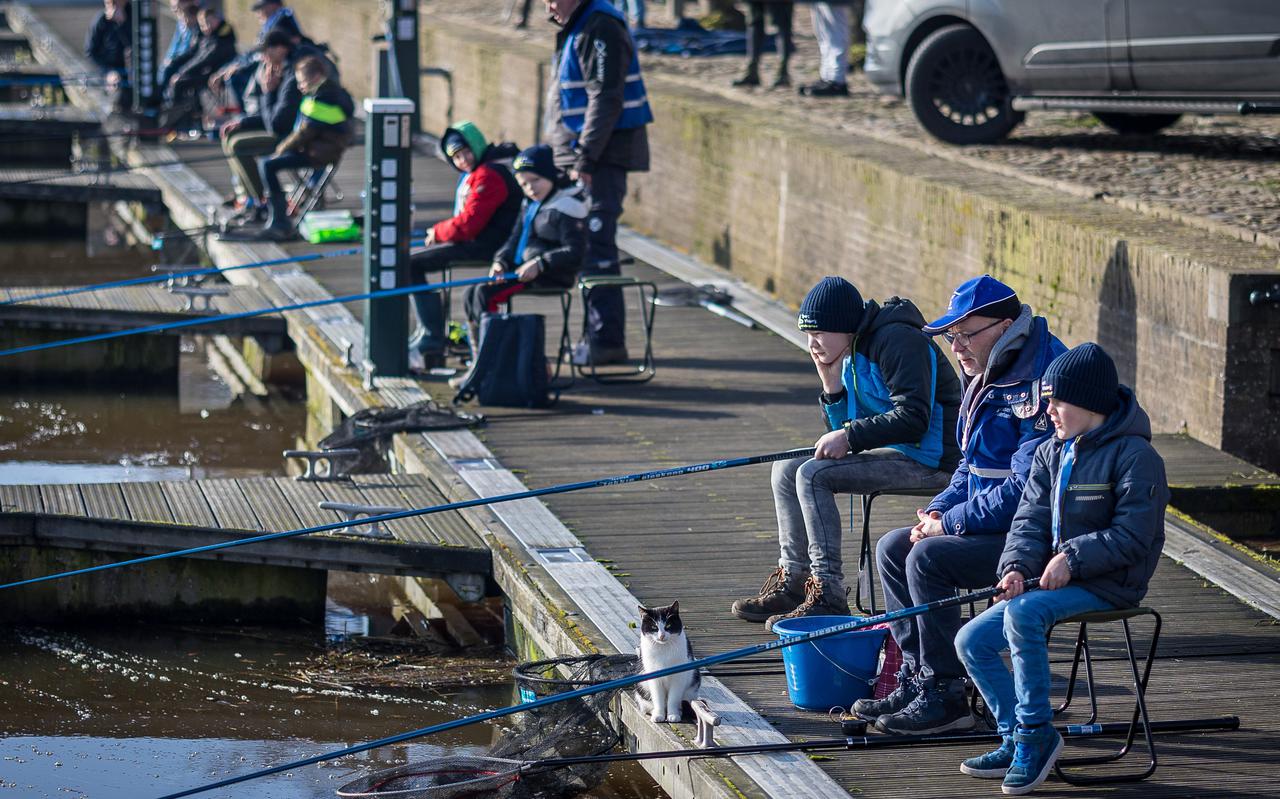 De Sportvisserij Oost-Nederland en hengelsportvereniging Het Baarsje uit Blokzijl hadden afgelopen zaterdag een mooie zonnige dag uitgekozen voor de Havenvisdag.