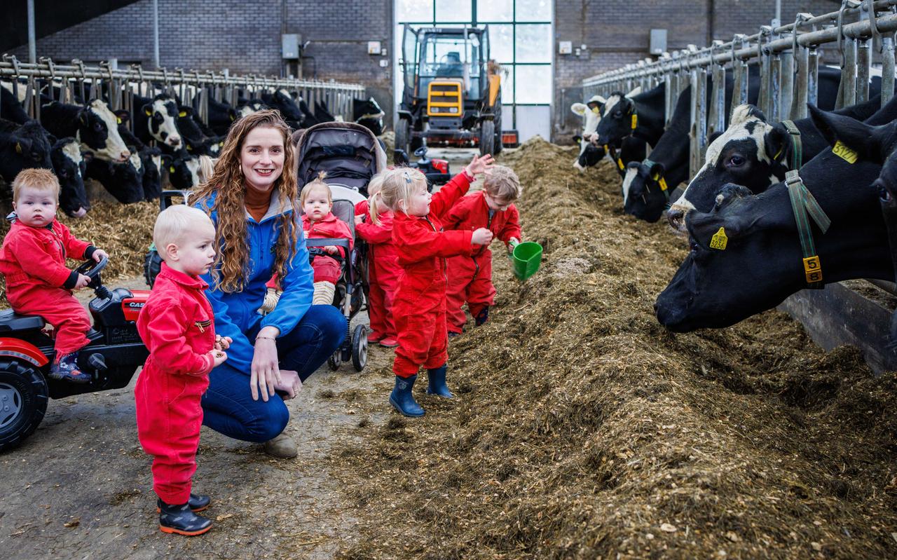 Corine Berger van KinderopvangKoerine met de kinderen bij de koeien. Corine Berger van KinderopvangKoerine met de kinderen bij de koeien.