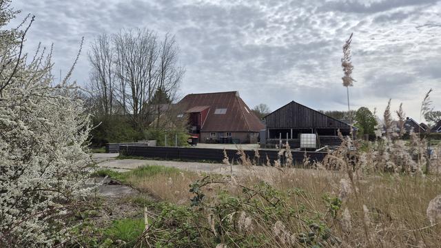 Steenwijkerland wil aanpak drugscriminaliteit versterken