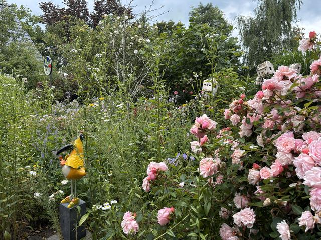 Maartjestuin in Eesveen zet deuren open tijdens Open Tuinenweekend Groei & Bloei