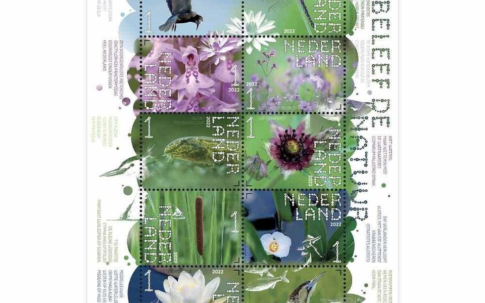 Een postzegelvel van het natuurgebied Nieuwkoopse Plassen. Vanaf maandag 12 juni is die van De Wieden verkrijgbaar.
