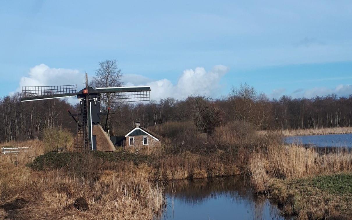 Spinnenkopmolen De Wicher wordt in ere hersteld. Spinnenkopmolen De Wicher wordt in ere hersteld.