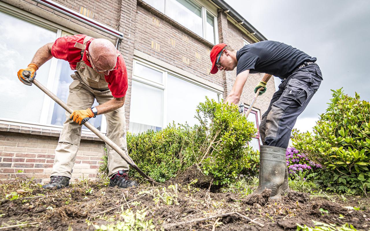 Aan de De Cartouwe in Vollenhove worden deze week de nodige tuinen opgeknapt door vrijwilligers.