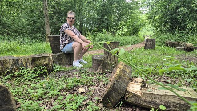 Opnieuw vernielingen in kabouterbos Steenwijkerwold. 'Zó verdrietig voor de kinderen'
