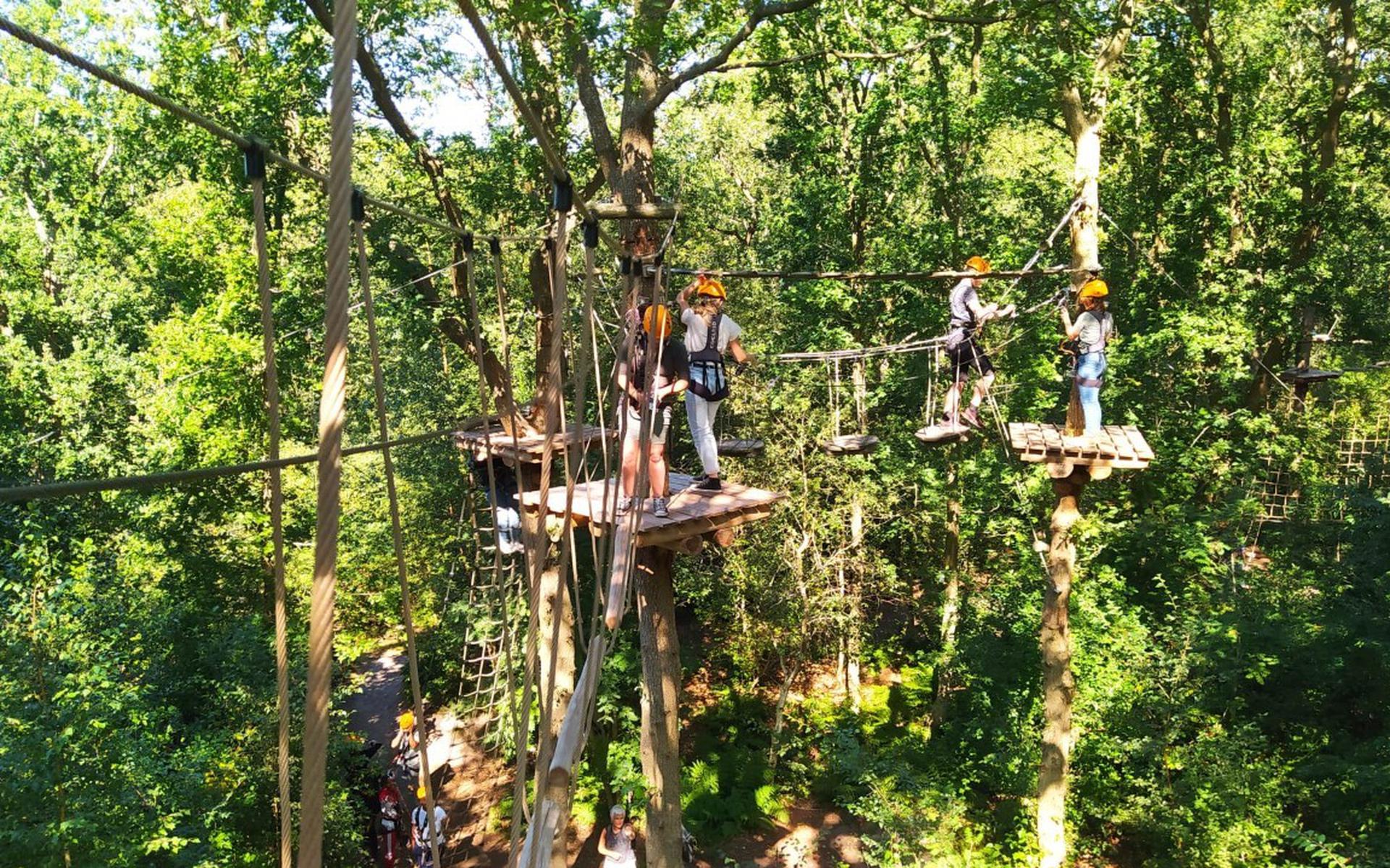 De leerlingen lopen hoog in de bomen van het klimbos in Paasloo.