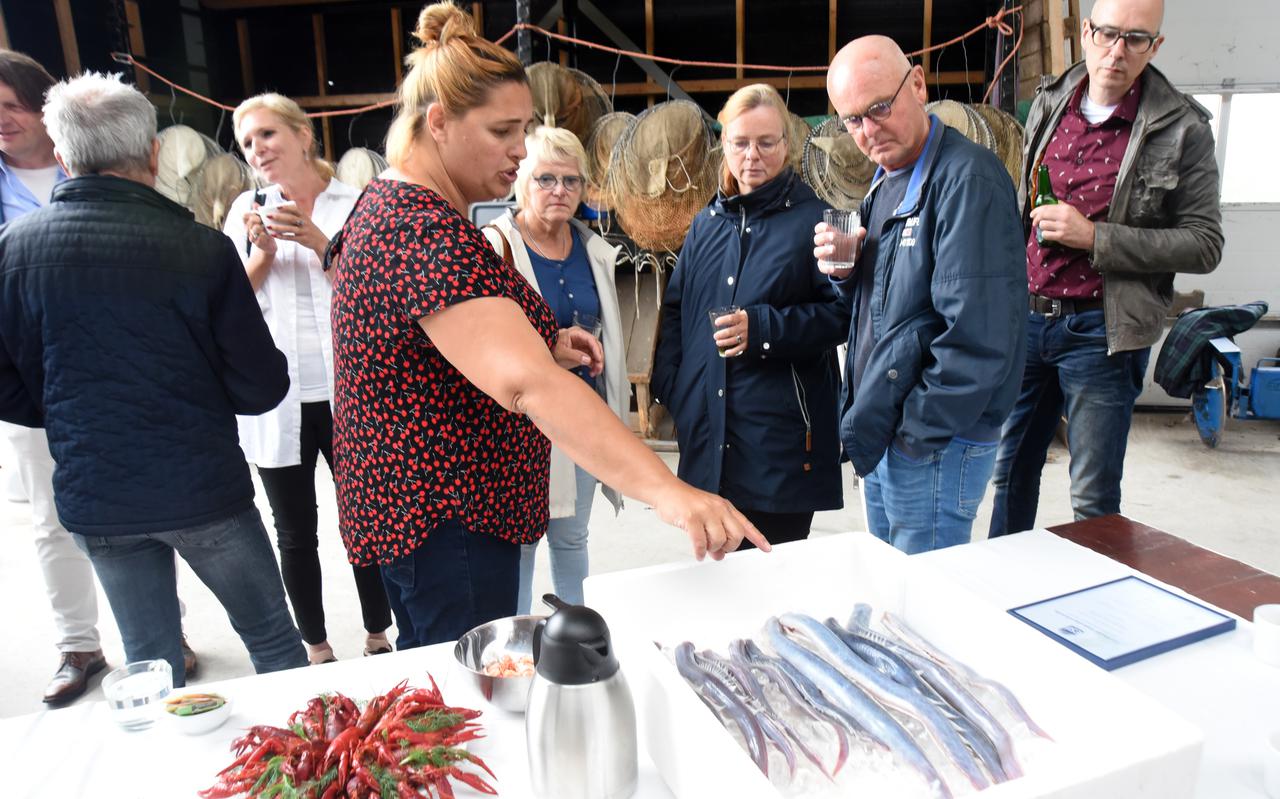 Presentatie van het nieuwe regionale visserijmerk Wiedenvis in Belt-Schutsloot.