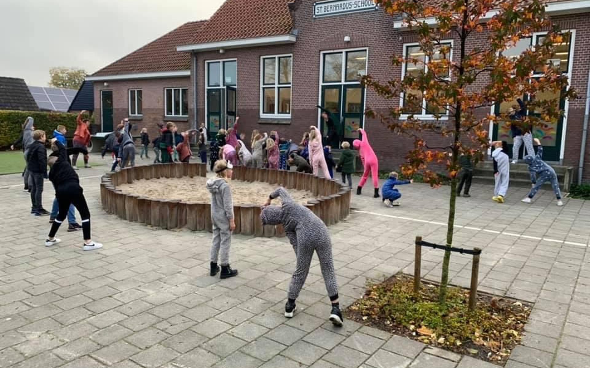 De Sint Bernardusschool in Oldemarkt bestaat dit jaar 100 jaar.
