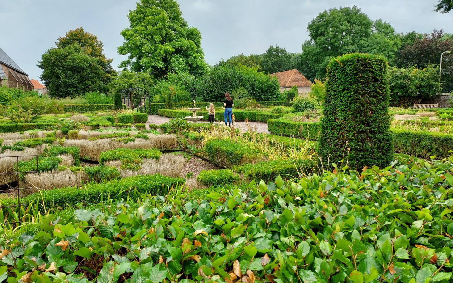 De tuinen van Marxveld met de vele verdorde en door de buxusmot aangevreten buxushagen.
