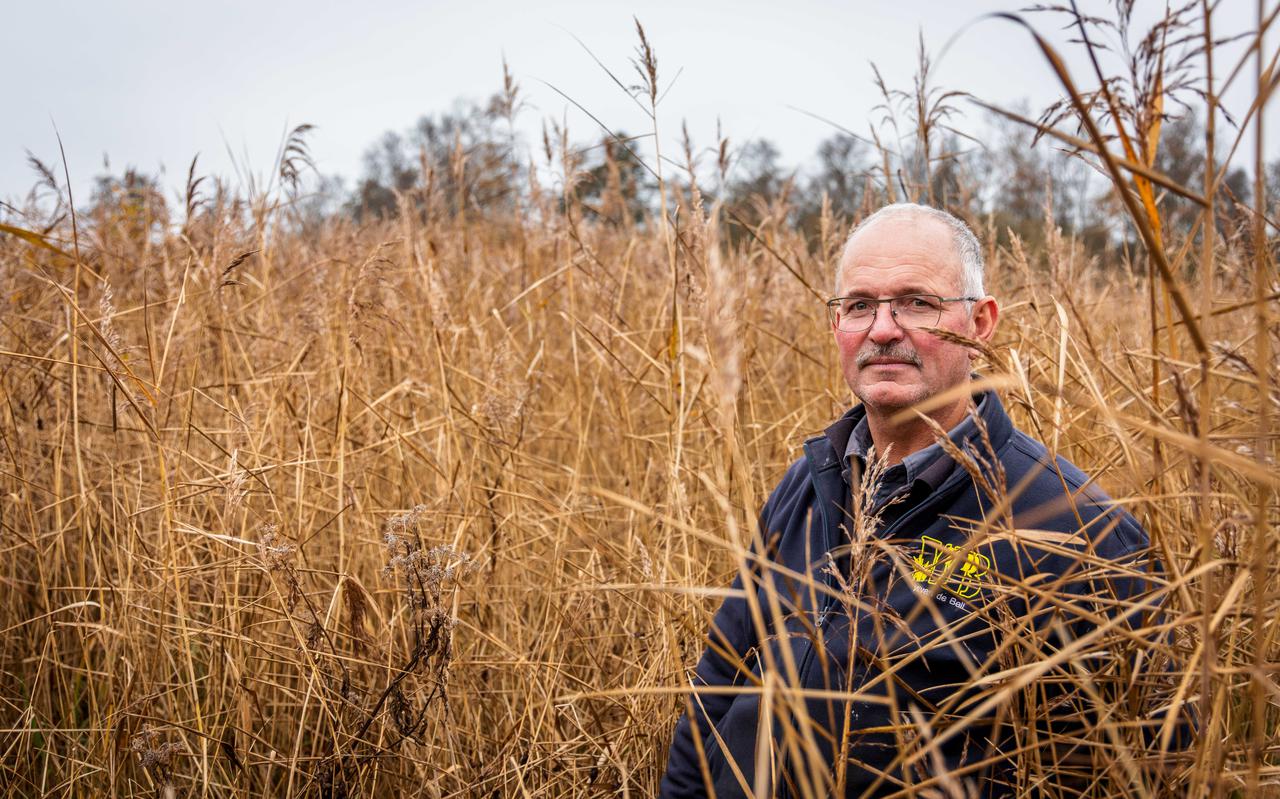 Rietland- en natuurbeheerder Wout van de Belt uit Belt-Schutsloot: „Elk jaar hebben we minder riet en eigenlijk doet niemand er wat aan”.