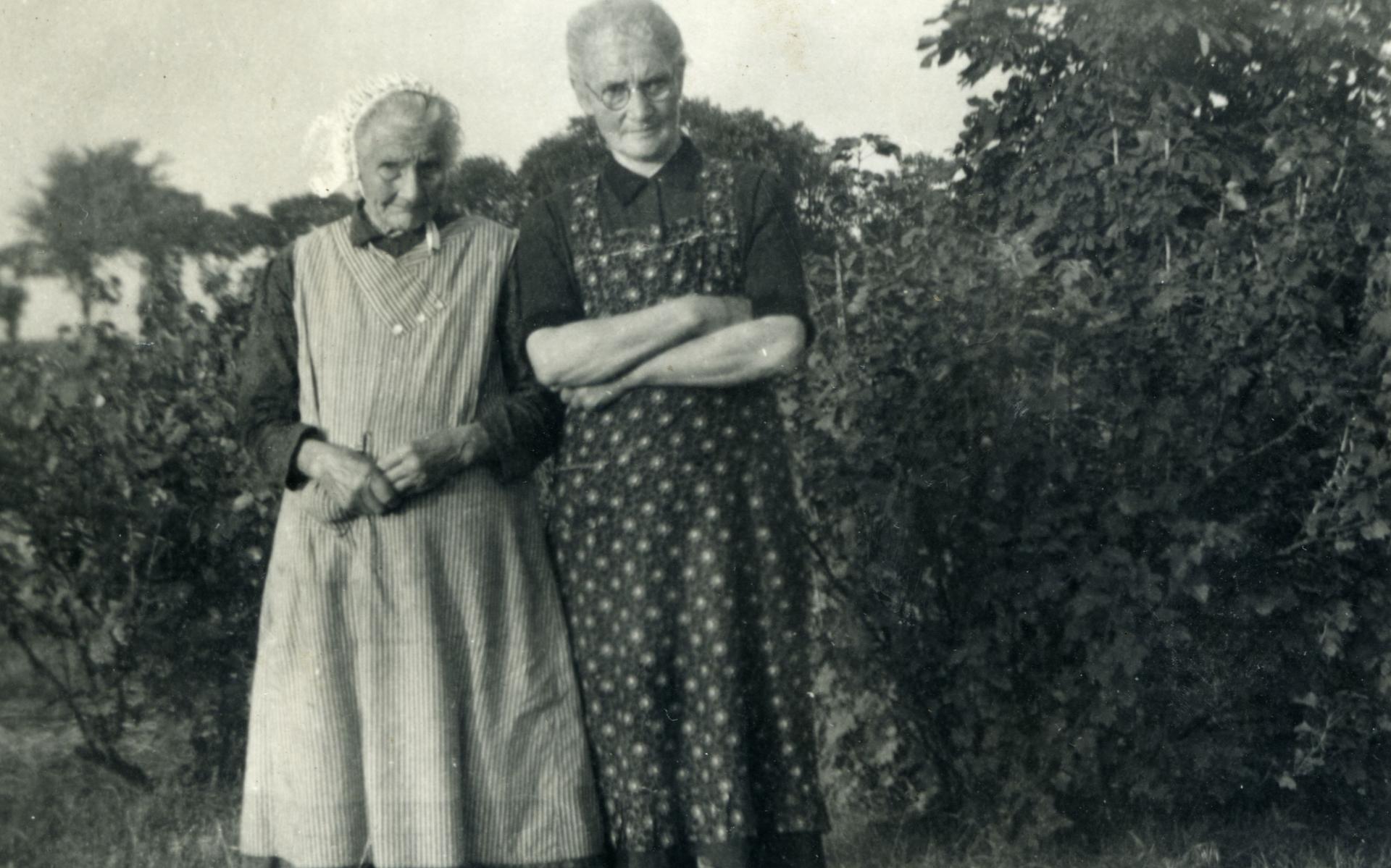 In Old Steenwiek: Kabouters zorgen voor revolutie in Steenwijkerwold. Vroedvrouw Van der Berg hielp 
