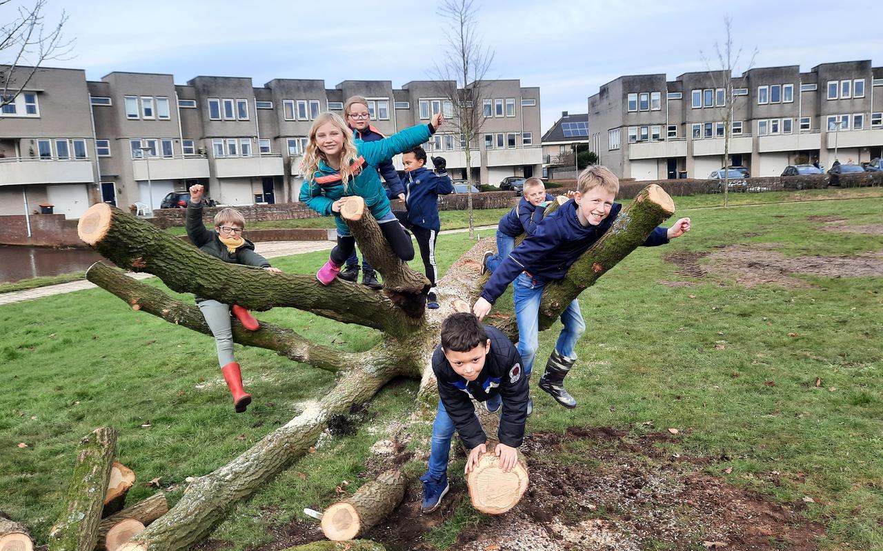 Bewoners van Het Bolwerk in de wijk Woldmeenthe in Steenwijk namen het initiatief om een kaal grasveld te verfraaien met platanen, picknickbanken, een klimboom en veel bloemen. Bewoners van Het Bolwerk in de wijk Woldmeenthe in Steenwijk namen het initiatief om een kaal grasveld te verfraaien met platanen, picknickbanken, een klimboom en veel bloemen.