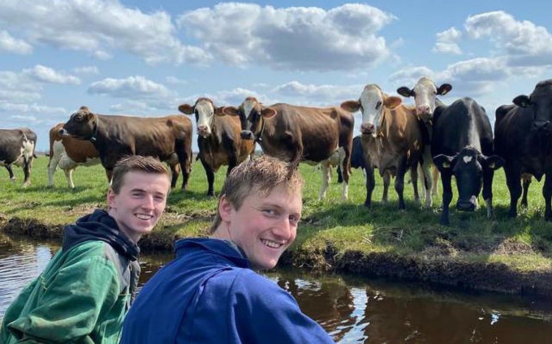 Niek (links) en rechts Cor Hendriksen bij hun koeien.
