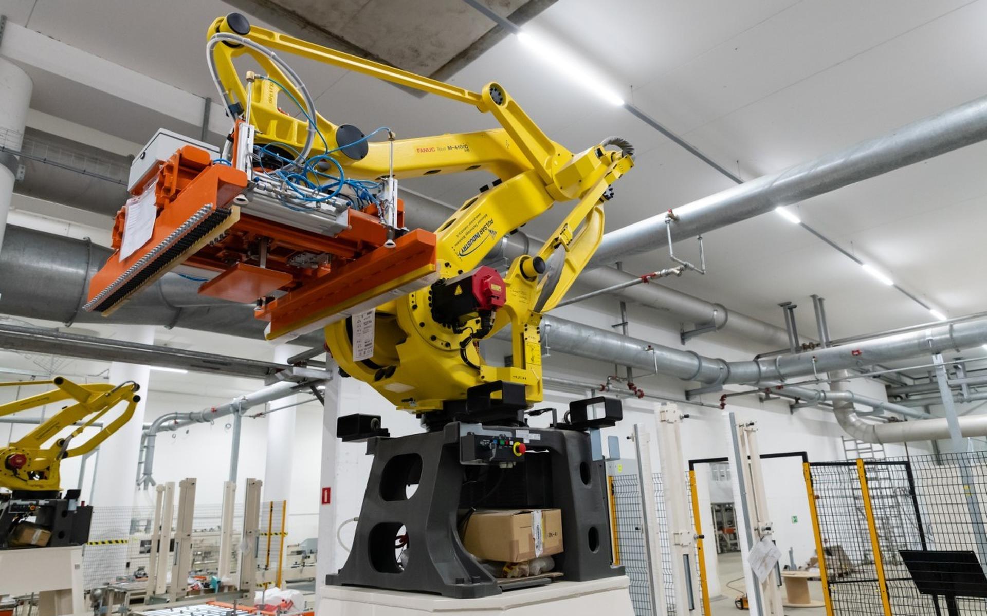 IJsbeer Energie verandert vanaf 2022 in IceBear en gaat zich toeleggen op palletklossen - Steenwijke