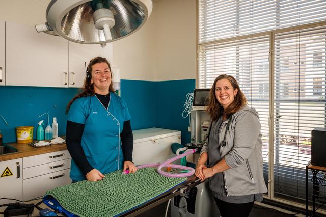 Nieuwe huisdierenkliniek opent in Steenwijk: ‘Persoonlijke aandacht en eerlijke prijzen’